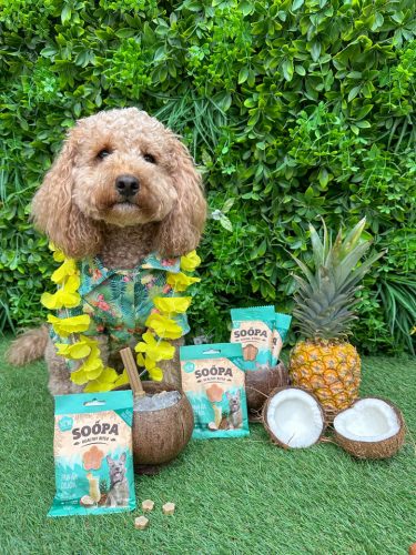 Hipoallergén jutalomfalat - Paw-na Colada , Soopa