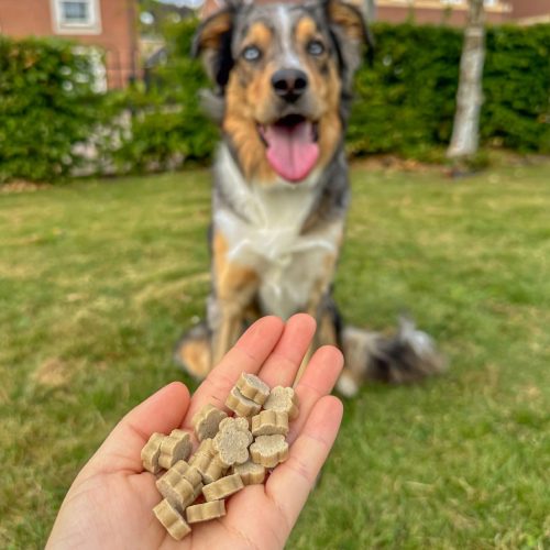 Hipoallergén jutalomfalat - répa és sütőtök , Soopa