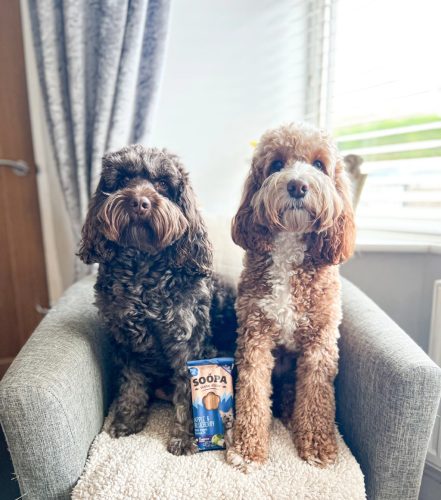 Fogtisztító sticks - Banán mogyoróvajjal , Soopa