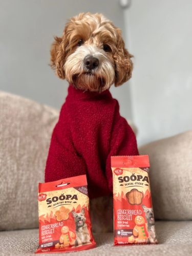 Fogtisztító sticks - Mézeskalács , Soopa