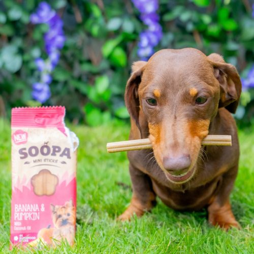 Fogtisztító MINI sticks - banán és sütőtök , Soopa