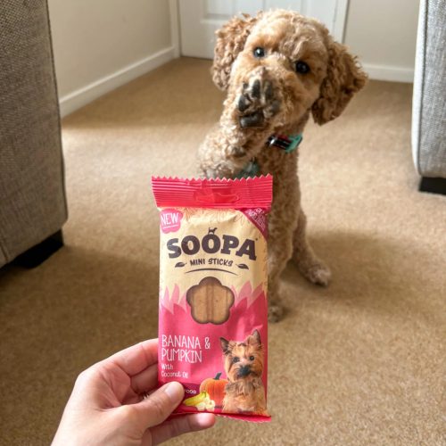 Fogtisztító MINI sticks - banán és sütőtök , Soopa