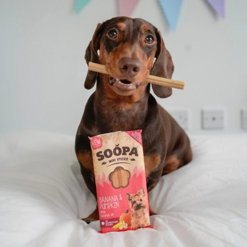 Fogtisztító MINI sticks - banán és sütőtök , Soopa