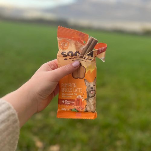 Fogtisztító sticks - Pumpkin Spice Latte , Soopa