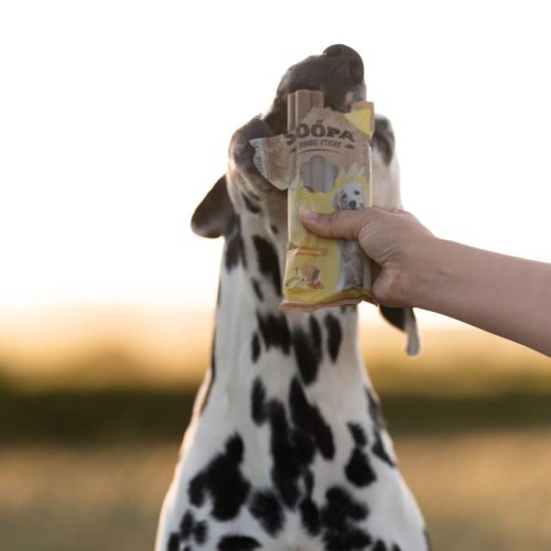 Fogtisztító jUMBO sticks - Banán mogyoróvajjal , Soopa