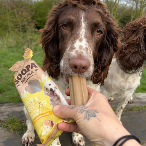 Fogtisztító jUMBO sticks - Banán mogyoróvajjal , Soopa