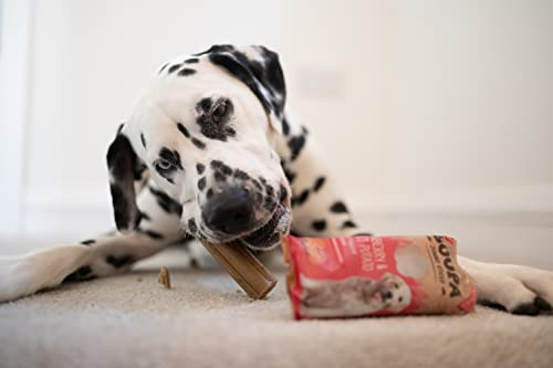 Fogtisztító JUMBO sticks - Répa sütőtökkel , Soopa