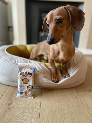 Fogtisztító sticks kölyköknek - banán sütötökkel , Soopa