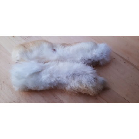 Nyúlláb szőrös szárított , Teomann