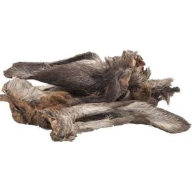 Szarvasfül szőrös , Teomann