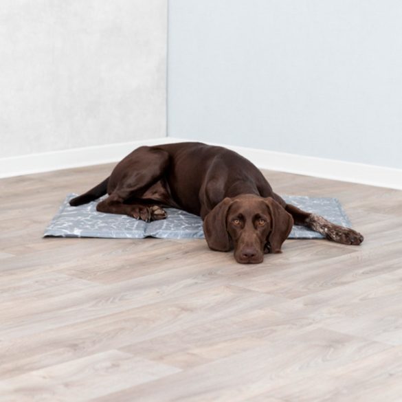 Hűtő matrac kutyáknak extra vastag és puha , L 65*50 , Trixie