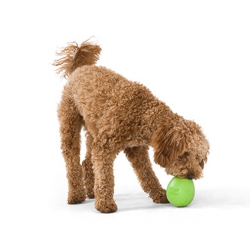 West Paw Rumbl™ -tölthető okosjáték , L