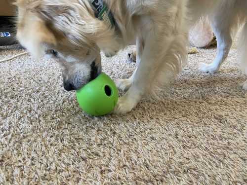 West Paw Rumbl™ -tölthető okosjáték , L