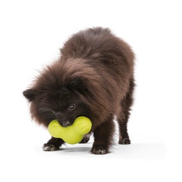 West Paw Tux® -tölthető okosjáték , L