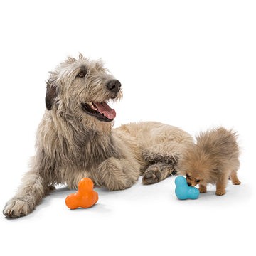 West Paw Tux® -tölthető okosjáték , L