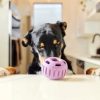 Pupsicle SZETT - tölthető interaktív játék jutalomfalat készítő formával , XL , levendula , Woof