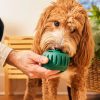 Pupsicle SZETT - tölthető interaktív játék jutalomfalat készítő formával , S , zöld , Woof