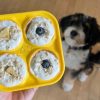 Pupsicle SZETT - tölthető interaktív játék jutalomfalat készítő formával , S , zöld , Woof