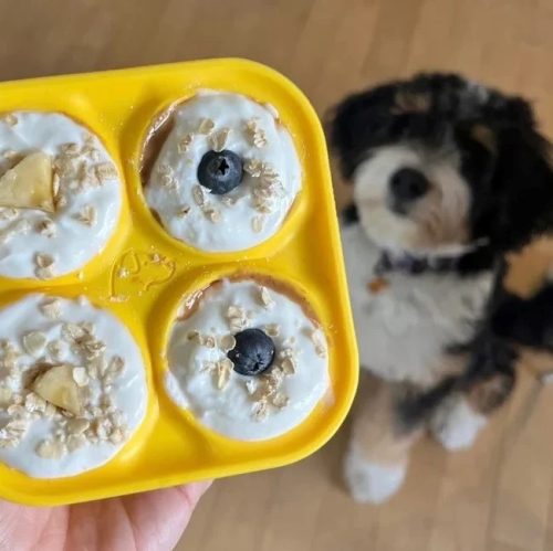 Pupsicle SZETT - tölthető interaktív játék jutalomfalat készítő formával , S , zöld , Woof