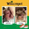W.E.T. Cream - gyógykrém kutyáknak , Whizzopet