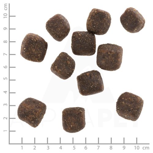 Black Bird Squashies - puha jutalomfalat - Pulyka édesburgonyával , Wolfsblut