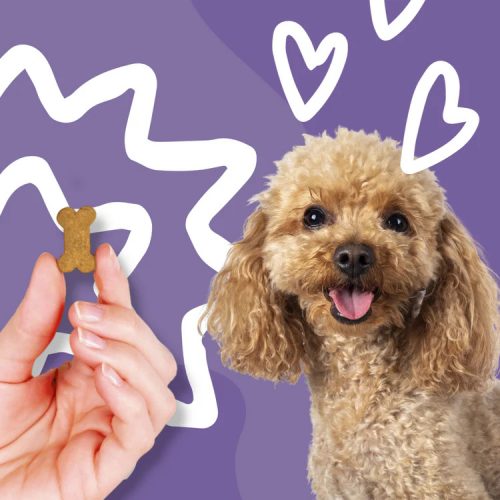 Hipoallergén allergia elleni immunerősítő ízesített jutalomfalatban , Wiss-Pet