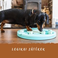 Logikai játékok, fejtörők
