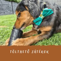 Tölthető - okos játékok