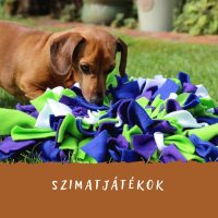 Szimatjátékok - szimatolni jó 