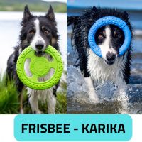 FRISBEE - KARIKA