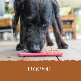 LICK-MAT-ek