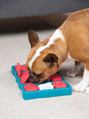 Dog Brick logikai játék , 2-es szint , Nina Ottosson 