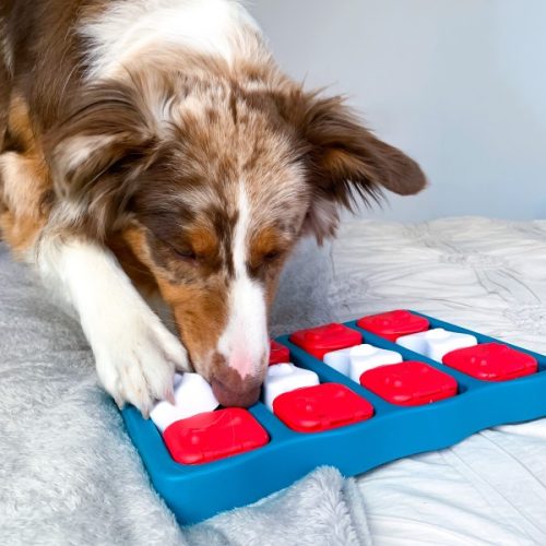 Dog Brick logikai játék , 2-es szint , Nina Ottosson 