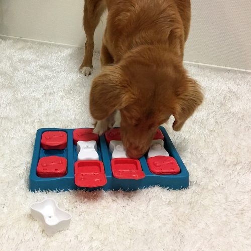 Dog Brick logikai játék , 2-es szint , Nina Ottosson 