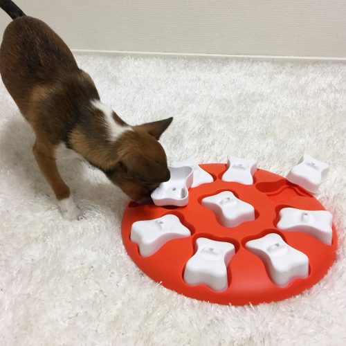 Dog Smart logikai játék , 1-es szint , Nina Ottosson